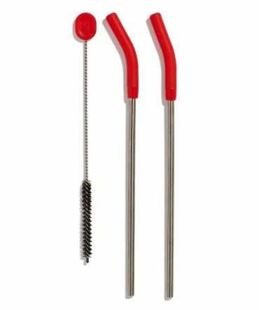 Stainless Steel Straw Set - Goji